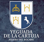 Visita Yeguada (español)