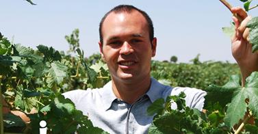 Bodega Iniesta. Visita guiada y cata de tres vinos