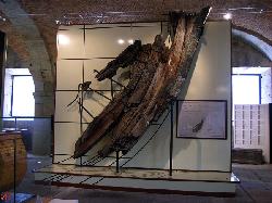Planta Baja. Módulo de Madera. Fragata Magdalena