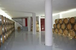 SALA BARRICAS