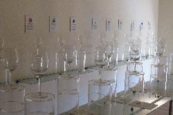 Sala de Aromas del Vino
