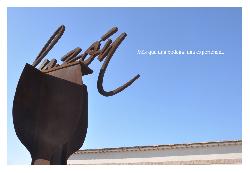 BODEGAS LUZON