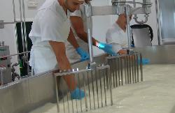 Elaboración del queso