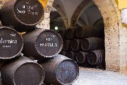 Barriles bodega