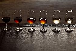 Degustación vinos