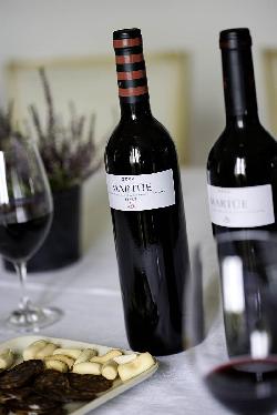 Vino