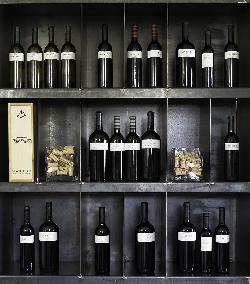 Vinos
