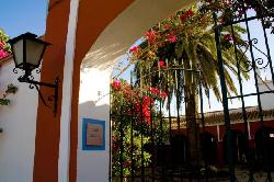Hacienda Olivar