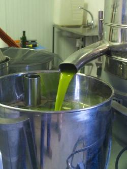 Aceite Basilippo