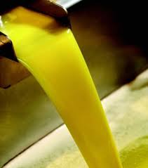 Elaboracion Aceite