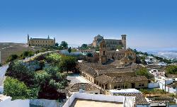 Vista de Osuna