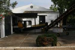 Bodegas Salado