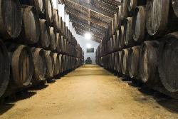 Viñas Salado
