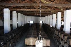 Bodegas Salado