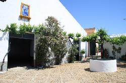 Bodegas Salado
