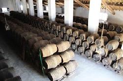 Bodegas Salado