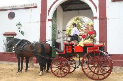 paseo coches de caballo