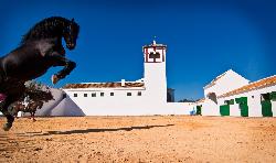 Hacienda caballo