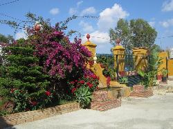 Finca