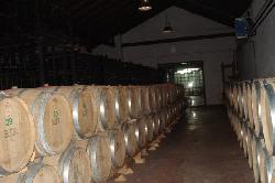 Bodegas Fuentereina