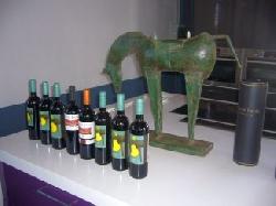 vinos Fuente Reina