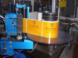 fundus