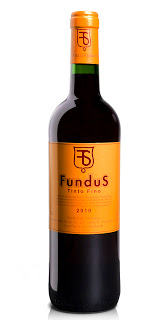 fundus
