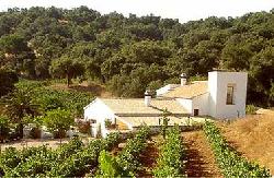 Cortijo