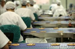 Tortas de Aceite Inés Rosales