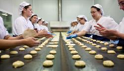 Tortas de Aceite Inés Rosales
