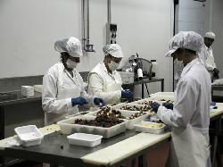 Operarios en la fábrica